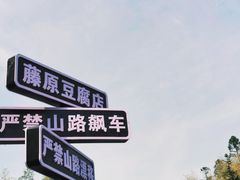 -江南天池