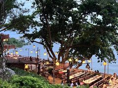 -卷心菜和避孕套餐厅(Pattaya)