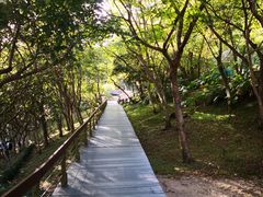 -太鲁阁公园
