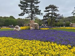 -狼山风景名胜区