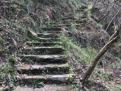 -黄陂区野村谷景区