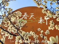 -陆家嘴中心绿地
