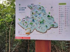 -中山市树木园