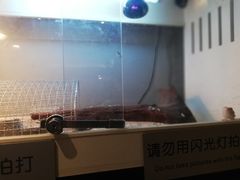 -打趸BTC·Breaktime cafe(北京路店)