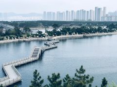 -莫内艺术岛海景咖啡