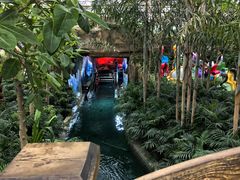 -南宫五洲植物乐园