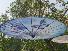 -人民公园(罗湖区)