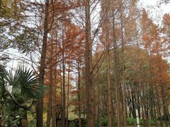 -苏州河梦清园环保主题公园