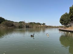 -宁波野生动物园