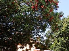 -开心农场温泉度假村