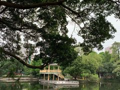 -晓港公园