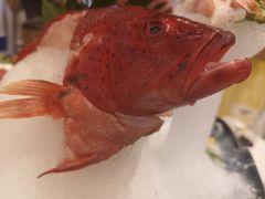 -高老庄新家宴(北斗星广场店)