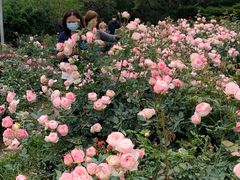 -人民公园(罗湖区)