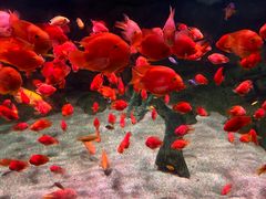 -常州海昌海洋探索馆