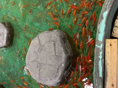 -上海大自然野生昆虫馆(东方明珠·爬宠昆虫探索中心)