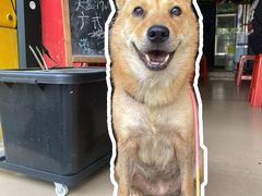 -胡椒猪肚汤(康王店)