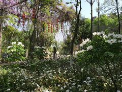 -西安关中民俗艺术博物院