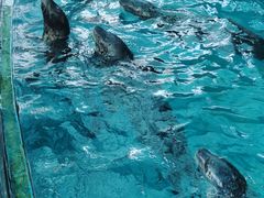 -横店影视城梦幻谷园区