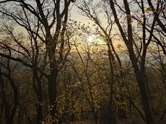 -帽儿山国家森林公园