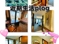 -济南喜来登酒店