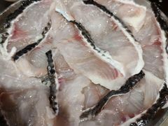 乌鱼片-五里关火锅(牛市口店)