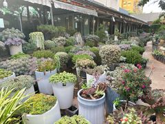 -山菌美食苑(振兴路店)