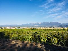 -富田农场