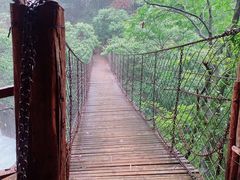 -祁门牯牛降观音堂风景区