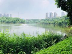 -重庆彩云湖湿地公园