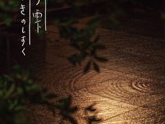 -隐溪茶馆(静安寺店)