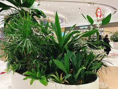 -丽达购物中心(崂山店)