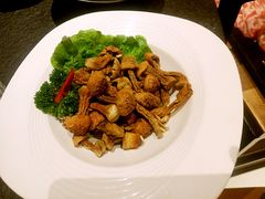 巴西松茸-煲宫(华润万象城店)