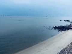 -北海金海湾红树林生态旅游区