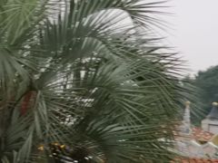 -平湖九龙山乐满地水上乐园