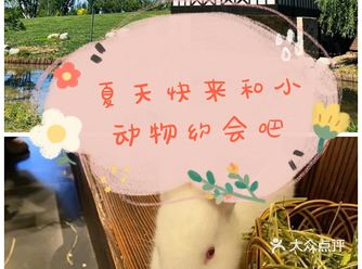 夏日遛娃~上海撩宠乐园，价格实惠，优惠多多