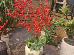 -双季花艺园艺市场(浦东店)