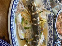 清蒸白水鱼-洞天食府(北大街店)
