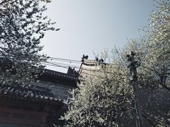 -雍和宫(地铁站)