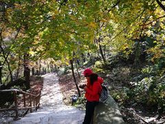 -北京上方山国家森林公园