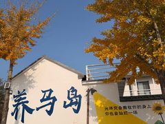 -养马岛旅游度假区