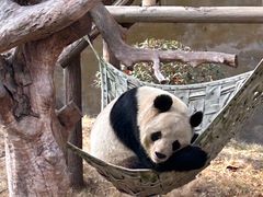 -常州淹城野生动物世界
