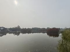 -白鹭湾湿地公园