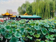 -济南大明湖景区