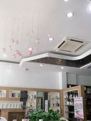-环球蝶上美业连锁
