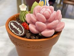 -哈根达斯(红谷滩万达店)