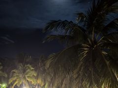 -日落吧·海景咖啡厅·餐酒吧·鸡尾酒·下午茶·乐队表演·浪漫夕阳·三亚文华东方酒店