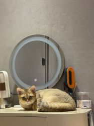 -隅日式美甲美睫專門店
