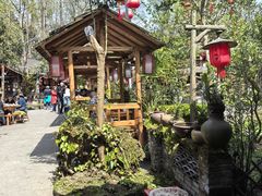 -青城甲(青城山店)