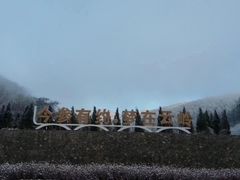 -云岭野山参风景区