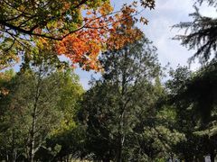 -陕西师范大学(雁塔校区)